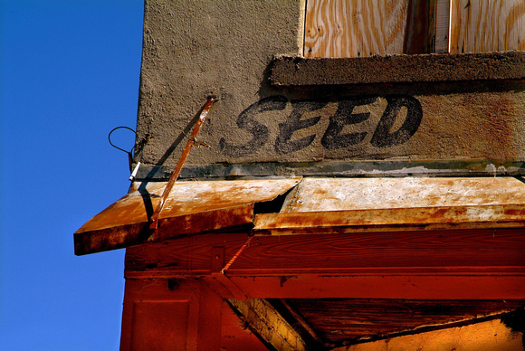 Seed Clarksdale,MS